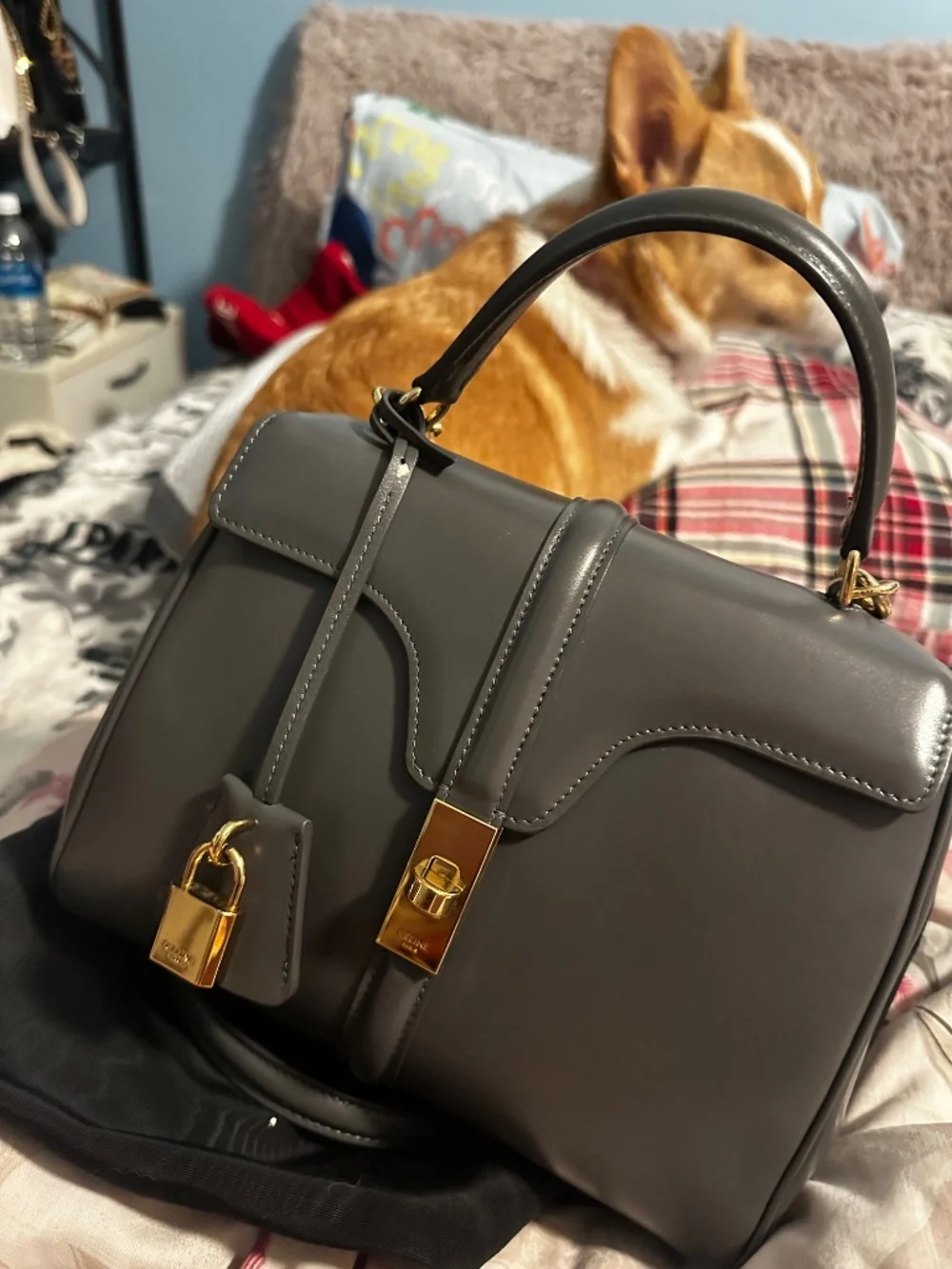 CELINE Women's Satinated smooth Calfskin Leather Bag (Corgi not included)